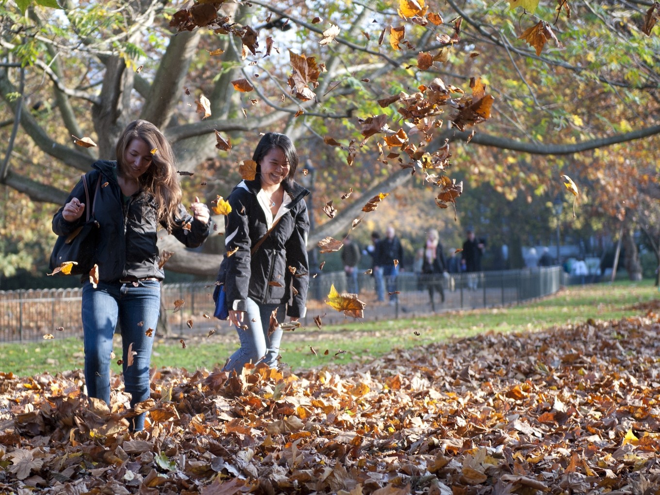Five Pound Note and Coins